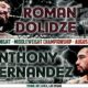 This poster shows Roman Dolidze and Anthony Hernandez fighting in a UFC Fight Night middleweight bout.