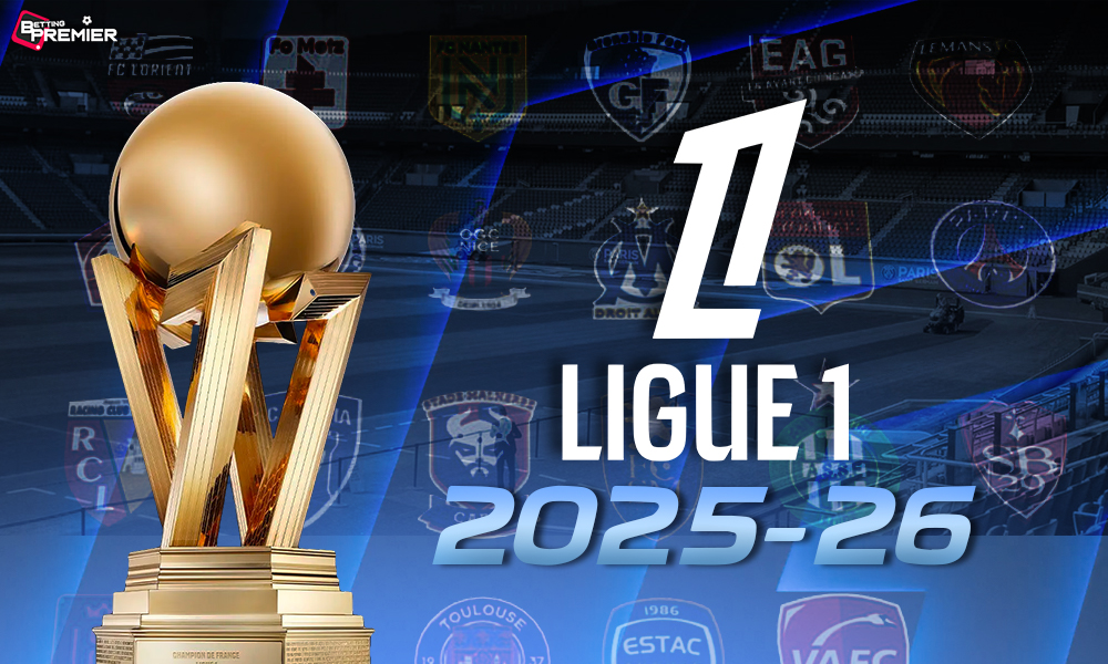 This poster represents the Ligue 1, a French football tournament. 