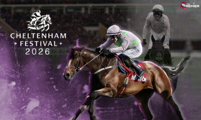 This image denotes a horse racing world featuring a Cheltenham Festival 2026 with top-tier horses participating to claim a victory.